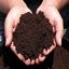 Organic Fertilizer